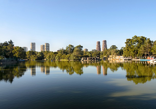 Chapultepec Hospedaje Hotel en Cuidad de Mëxico